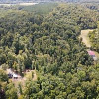 134.75 Acres of Prime Hunting Land For Sale in Patrick County VA images 3