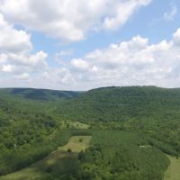 Ozark Mountain Farm in Harrison Arkansas for Sale