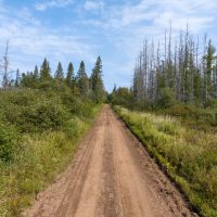 Recreational Property for sale in Northern Wisconsin images 3
