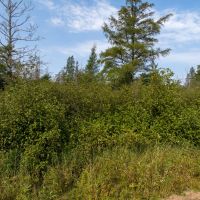 Recreational Property for sale in Northern Wisconsin images 4