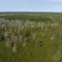 Recreational Property for sale in Northern Wisconsin images 5