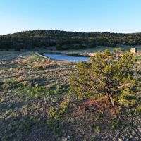 Wooden Nickel Ranch images 5