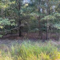 LA - Franklin 368.5 acres - images 4