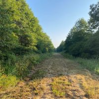 LA - Franklin 368.5 acres - images 5