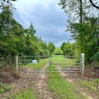 150 Acres in Winston County MS images 2