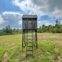 150 Acres in Winston County MS images 3