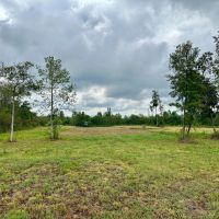 150 Acres in Winston County MS images 4