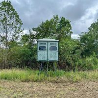 150 Acres in Winston County MS images 5