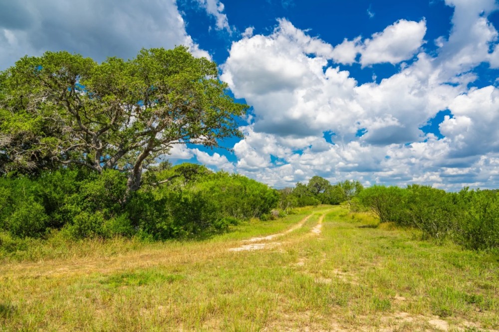 Seale Ranch featured image
