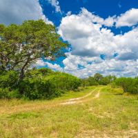 Seale Ranch images 1