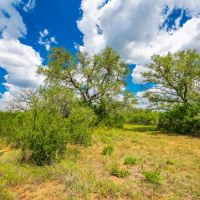 Seale Ranch images 4