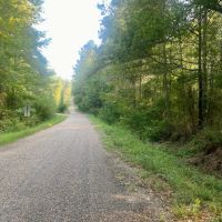40.72 acres Hulon Brister Rd Jayess Lawrence County MS