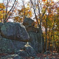 51,000 Acres Uwharrie National Forest Deer Hunting Land in Montgomery, NC images 6