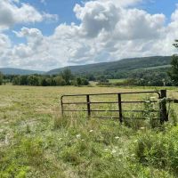 130 acre Former Beef Cattle Ranch with Fields and Pastures on the Tioughnioga River in Whitney Point NY 7880 NY-79