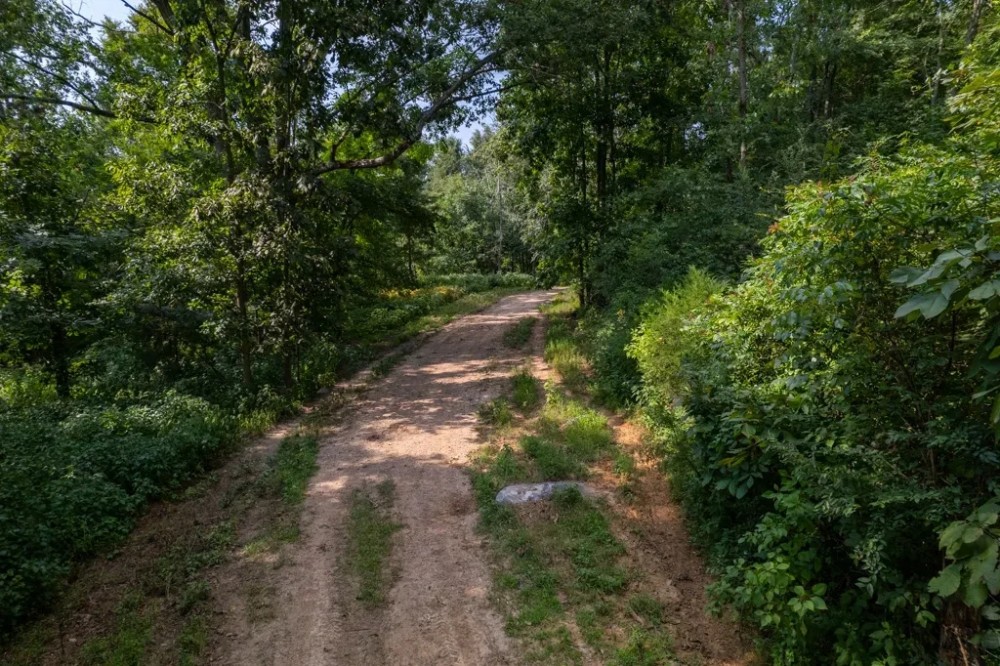 Rare Opportunity TO OWN YOUR VERY OWN FARM IN DEKALB COUNTY featured image