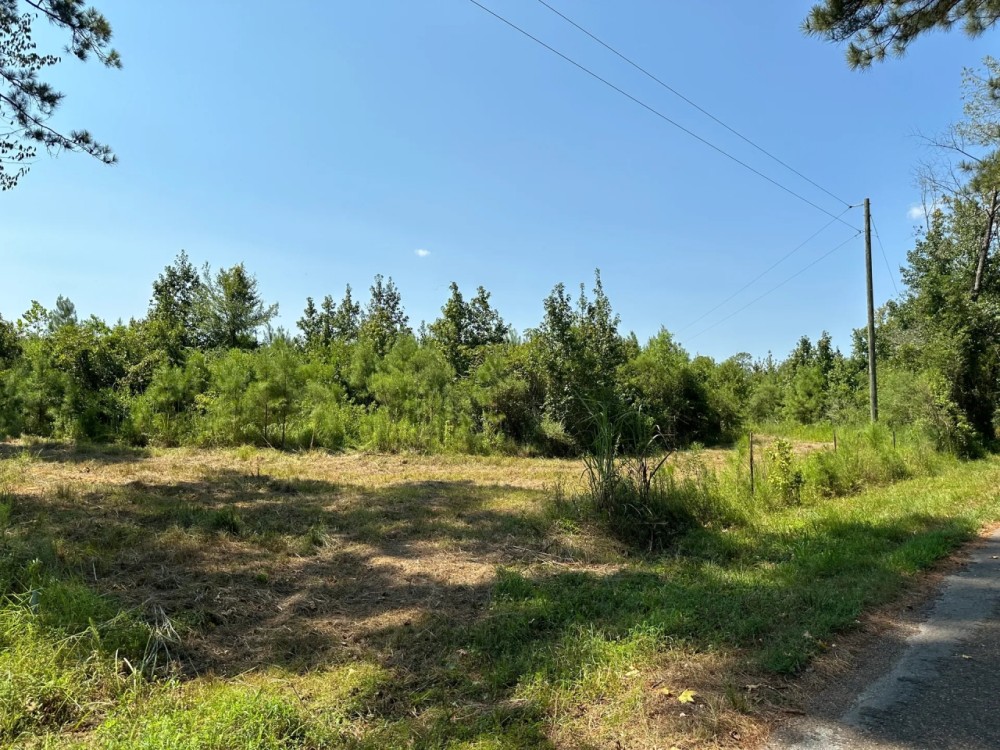 27.90 Acres in Amite County MS featured image