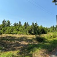 27.90 Acres in Amite County MS images 1