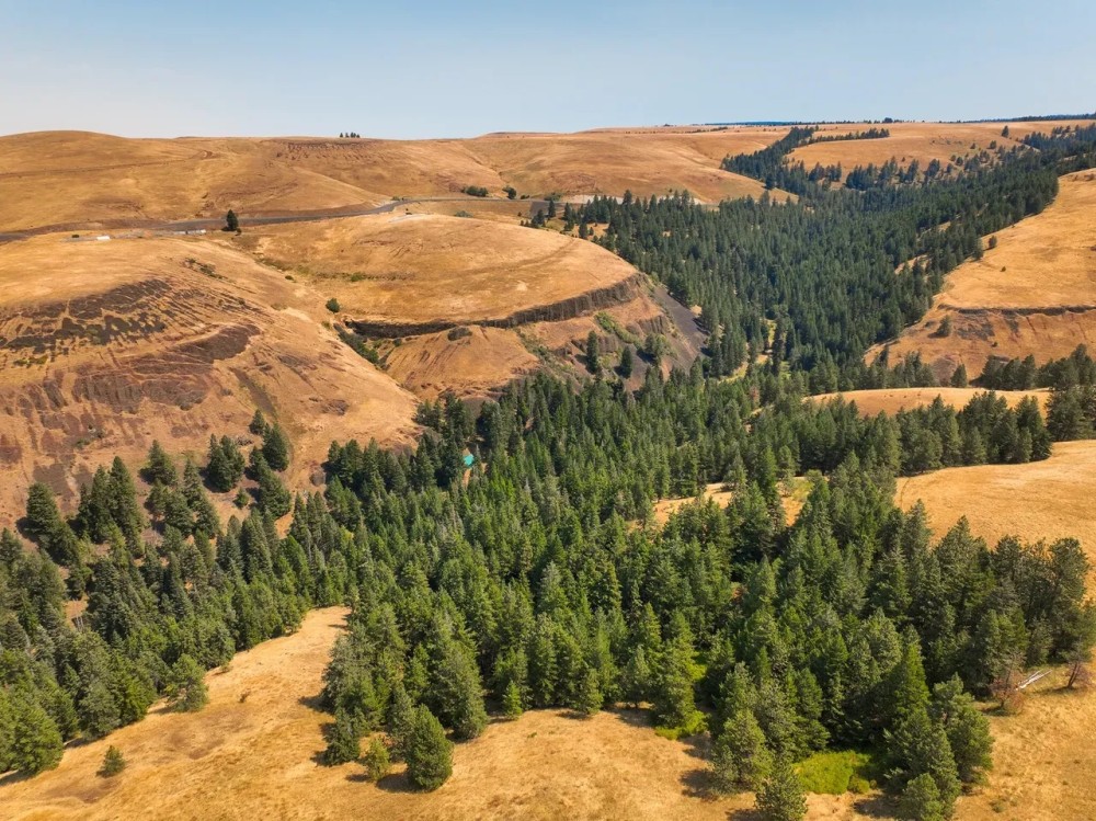 Battle Mtn Ukiah Land featured image