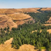 Battle Mtn Ukiah Land