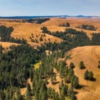 Battle Mtn Ukiah Land images 5
