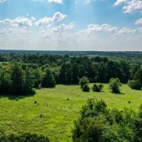 34 Acres FM 1374 Huntsville TX 77340 images 4