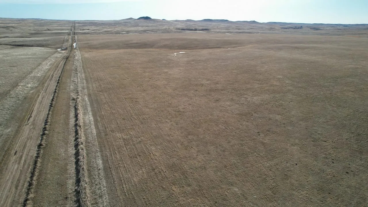 Todd County 160 Hunting Land for Sale