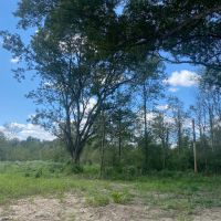 LA - Richland 47.91 acres images 4