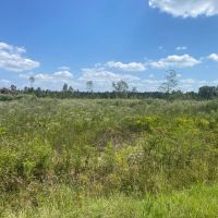 LA - Richland 47.91 acres images 5