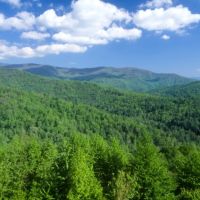 531,148 Acres Nantahala National Forest Deer Hunting Land in Macon, NC images 4