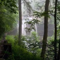 531,148 Acres Nantahala National Forest Deer Hunting Land in Macon, NC images 6