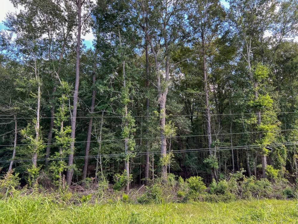28 Acres T-1 FM 1013 287050 featured image