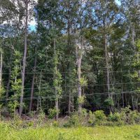 28 Acres T-1 FM 1013 287050
