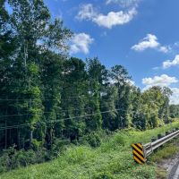 28 Acres T-1 FM 1013 287050 images 2