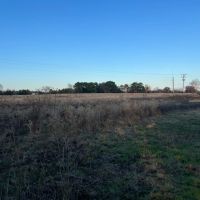 Pasture Land for Sale Quitman TX Near Lake Fork images 3