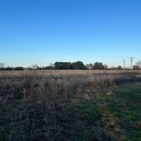Pasture Land for Sale Quitman TX Near Lake Fork images 4