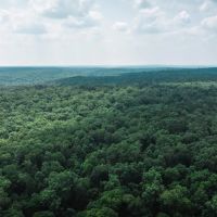 Serenity on the Upper Meramec 25 images 5