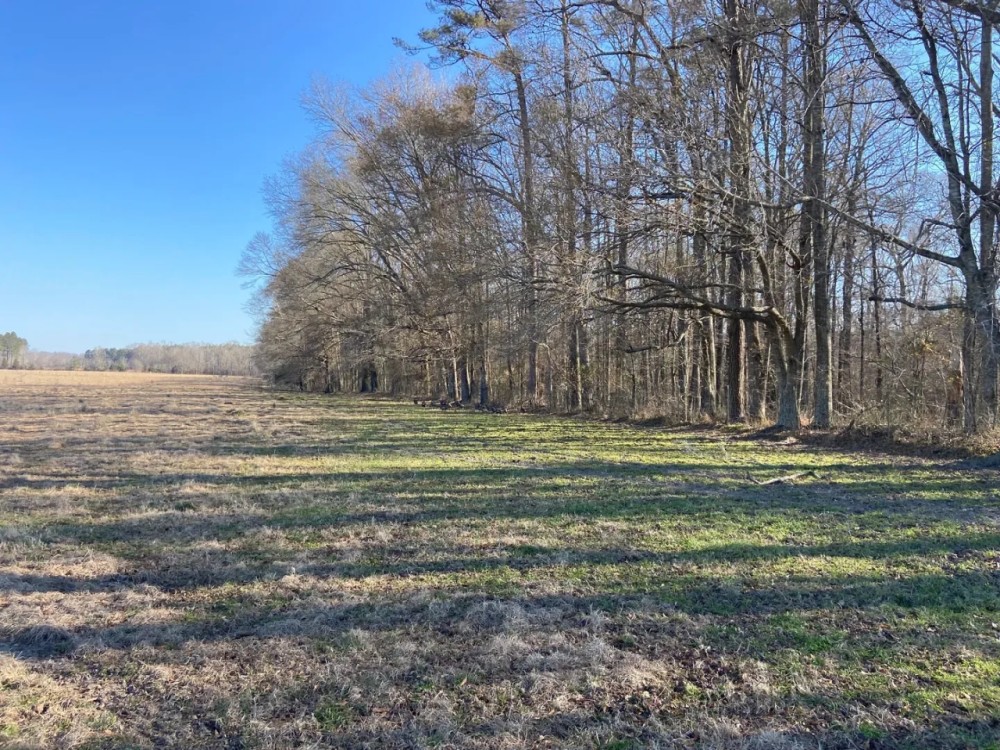 MS - Warren 336 acres - featured image