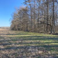 MS - Warren 336 acres -