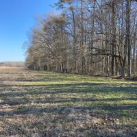 MS - Warren 336 acres - images 2
