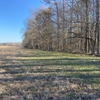 MS - Warren 336 acres - images 3