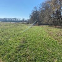 MS - Warren 336 acres - images 4