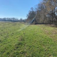 MS - Warren 336 acres - images 5