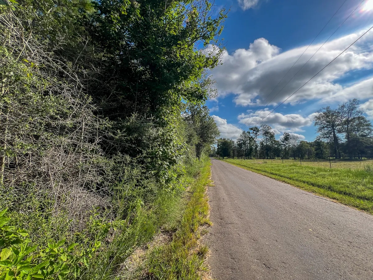 14 Acres T4 CR 517 287052 Hunting Land for Sale