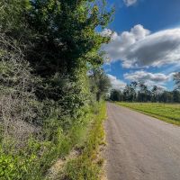14 Acres T-4 CR 517 287052