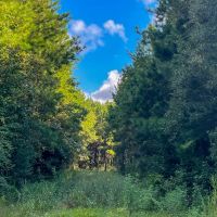 14 Acres T-4 CR 517 287052 images 3