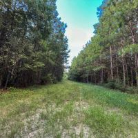 14 Acres T-4 CR 517 287052 images 4