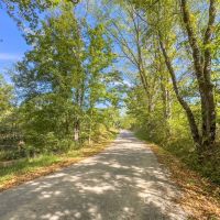 Slip Rd - 98 acres - Hocking County images 4