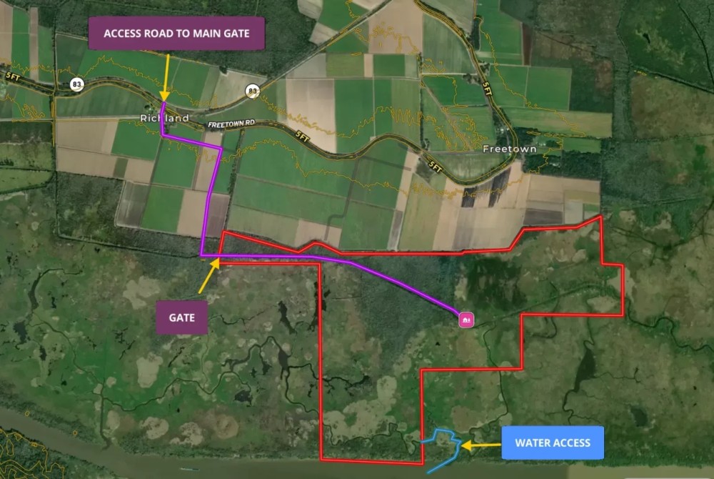 Freetown Road 684 Acre Deer Hunt Tract featured image