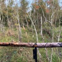 Freetown Road 684 Acre Deer Hunt Tract images 3