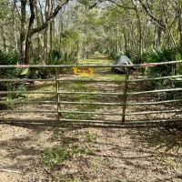 Freetown Road 684 Acre Deer Hunt Tract images 5